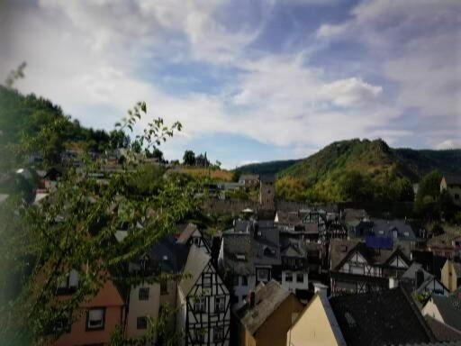 Zum Froehlichen Weinberg Hotel โคเคห์ม ภายนอก รูปภาพ